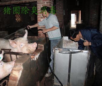 降低猪圈、猪舍臭味的养殖方法和技术